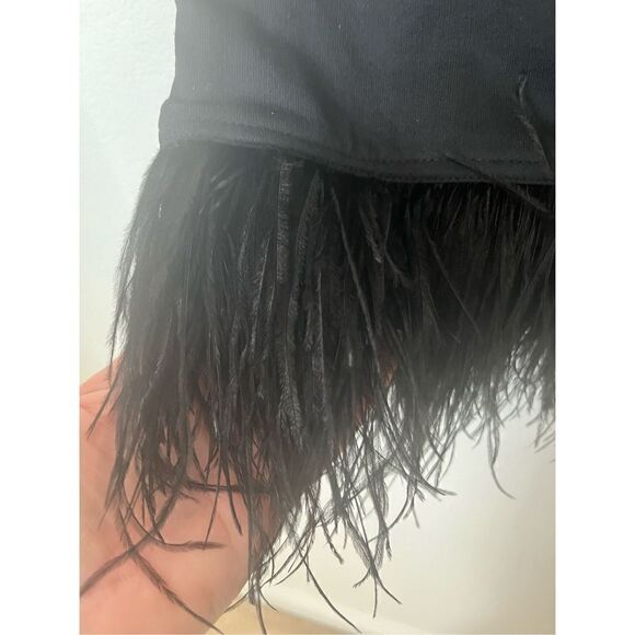 New Le Superbe Black Magic Dress with Gemstones and Ostrich Feathers - Picture 6 of 10